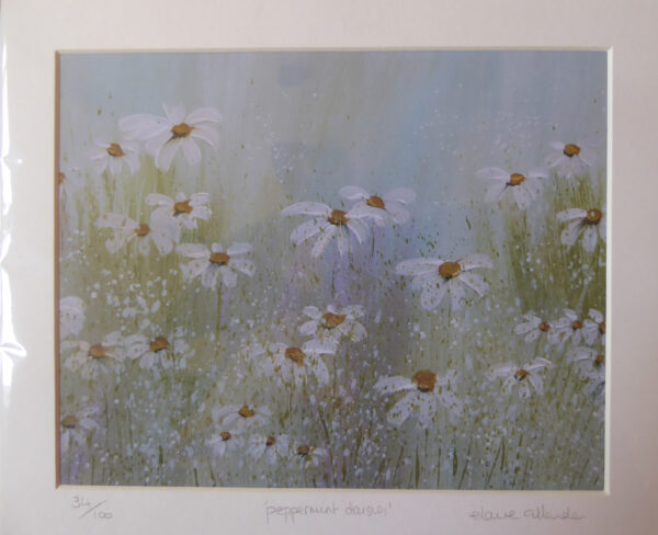 Peppermint Daisies